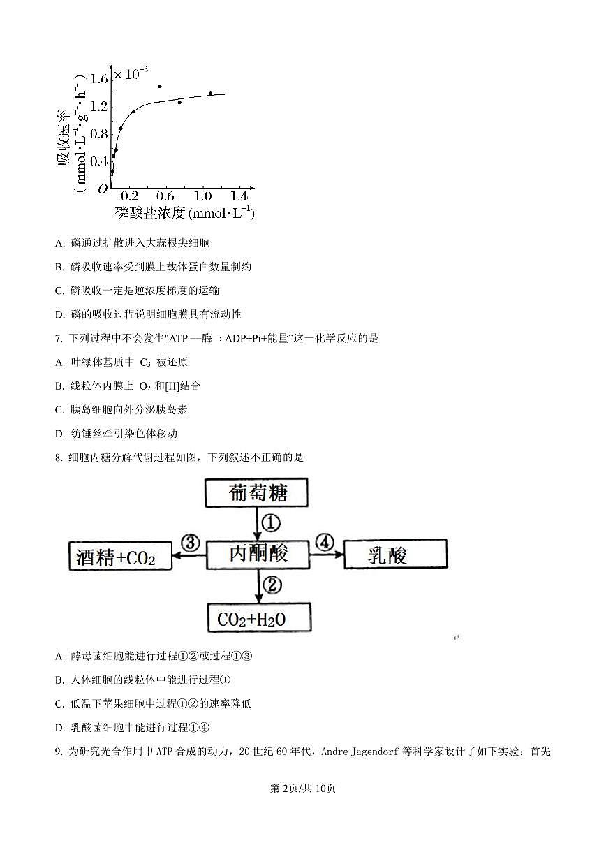 北京市西城区北京市育才学校2025-2026学年高三上学期9月月考生物试卷（含答案）第2页