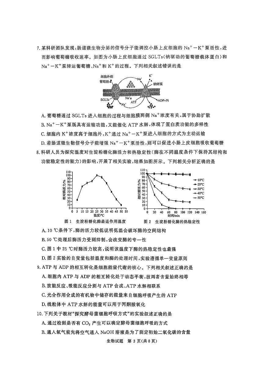 河南省青桐鸣大联考2025-2026学年高三上学期10月联考生物试卷（含答案）第3页