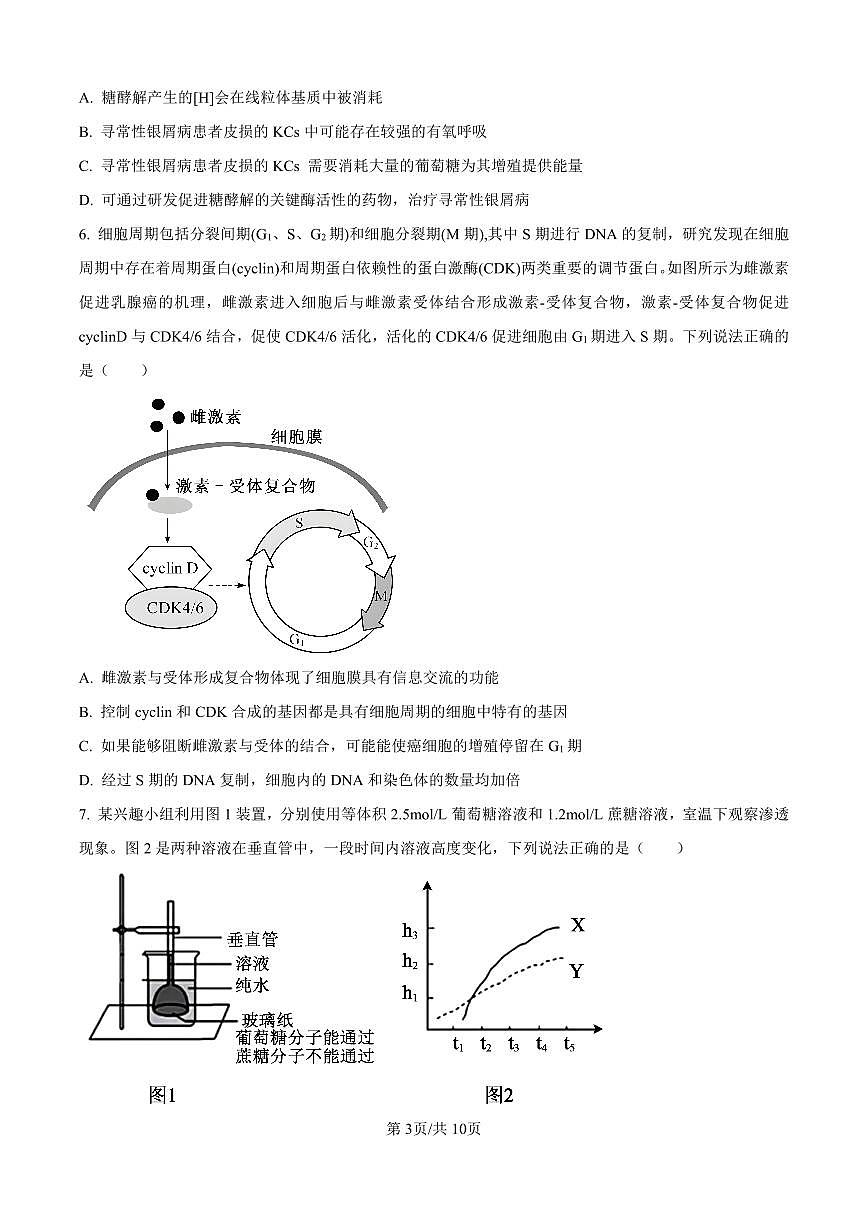 重庆实验外国语学校2025-2026学年高三上学期9月月考 生物试卷（含答案）第3页