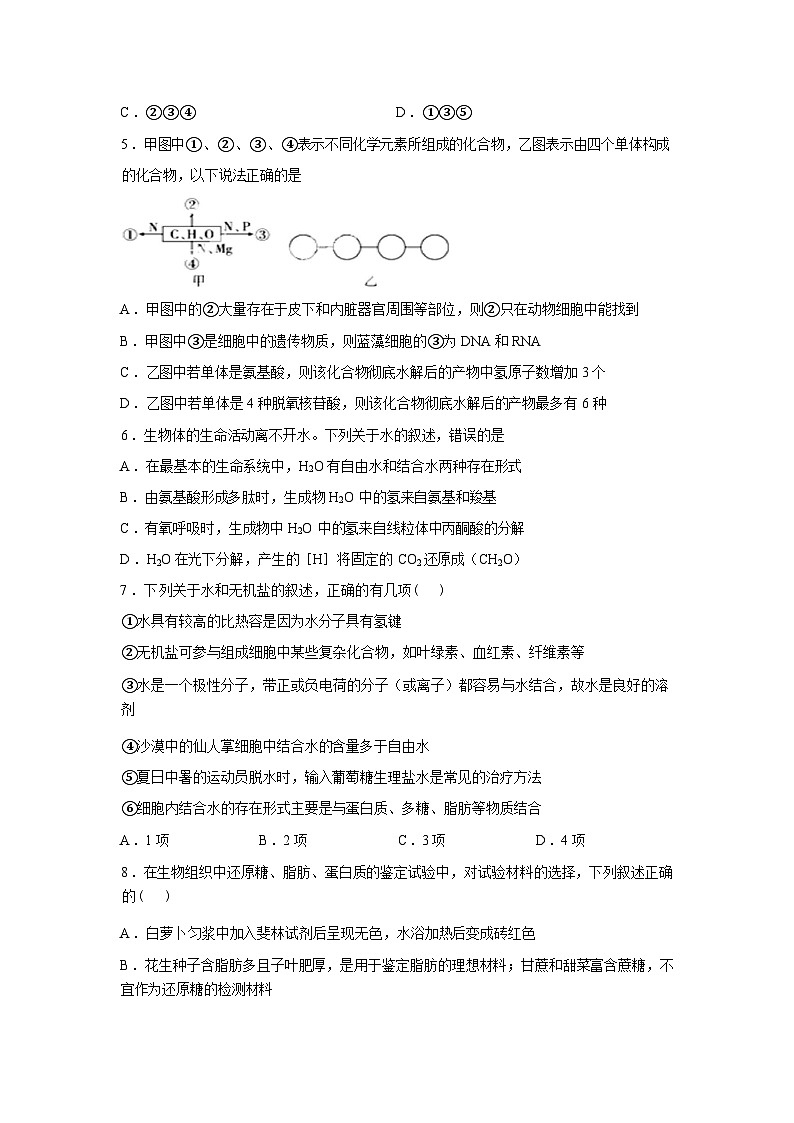 湖北省十堰市郧阳中学2025-2026学年高一下学期生物第一次周考试卷含答案第2页