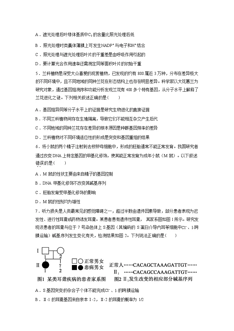 湖北荆州市石首市第一中学2026年高三年级3月考试生物试卷含答案第2页