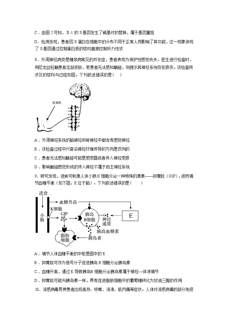 湖北荆州市石首市第一中学2026年高三年级3月考试生物试卷含答案第3页