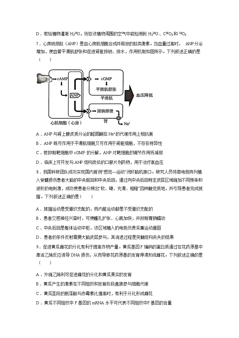 湖北省黄冈市2025—2026学年高三下学期3月考试生物试题含答案第3页
