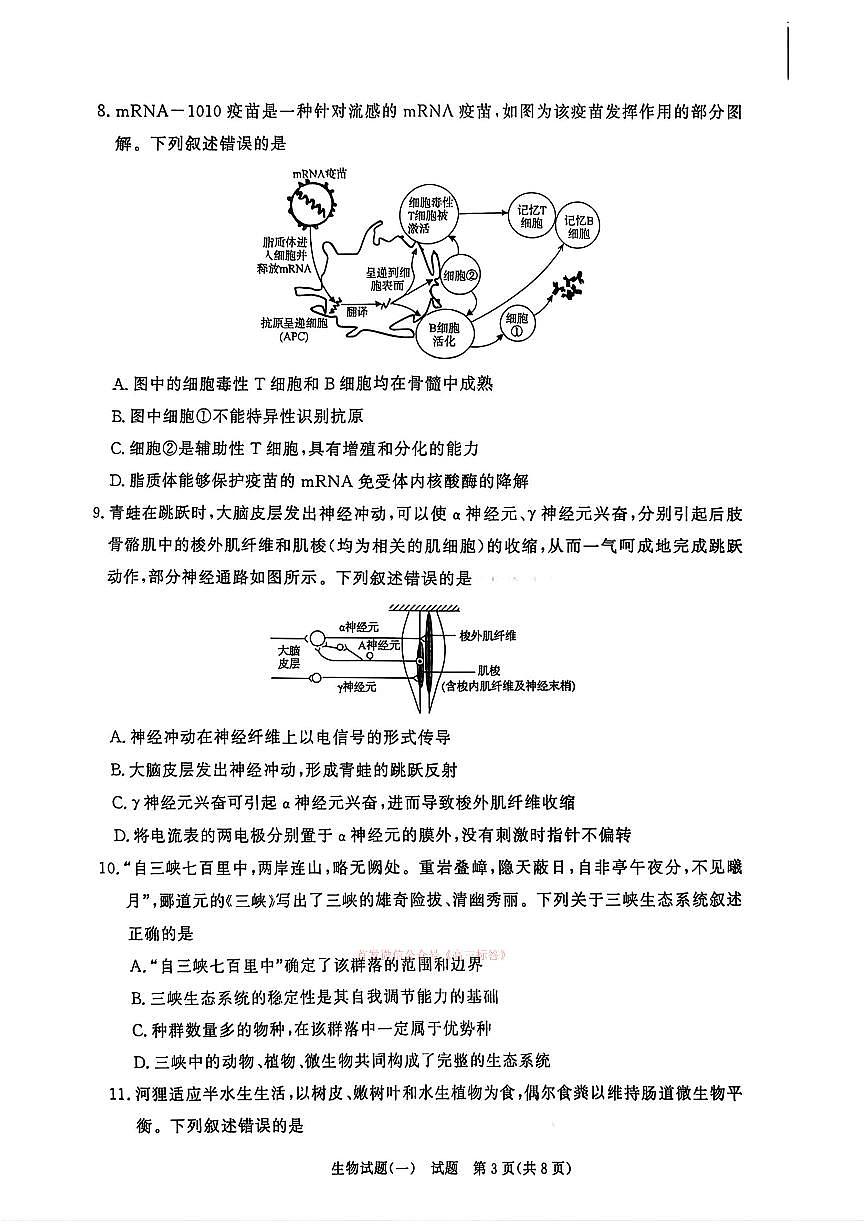2026年青桐鸣高三下学期3月生物试题一及答案第3页
