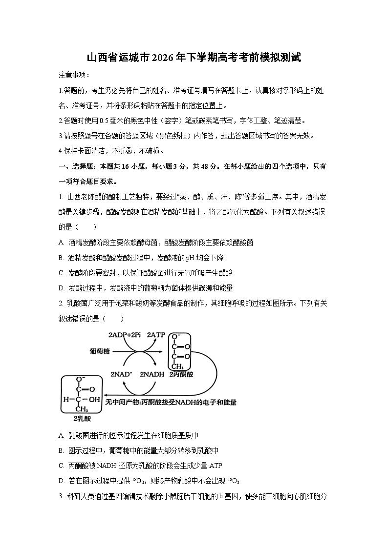 山西省运城市2026年下学期高考考前模拟测试生物试卷（学生版）第1页