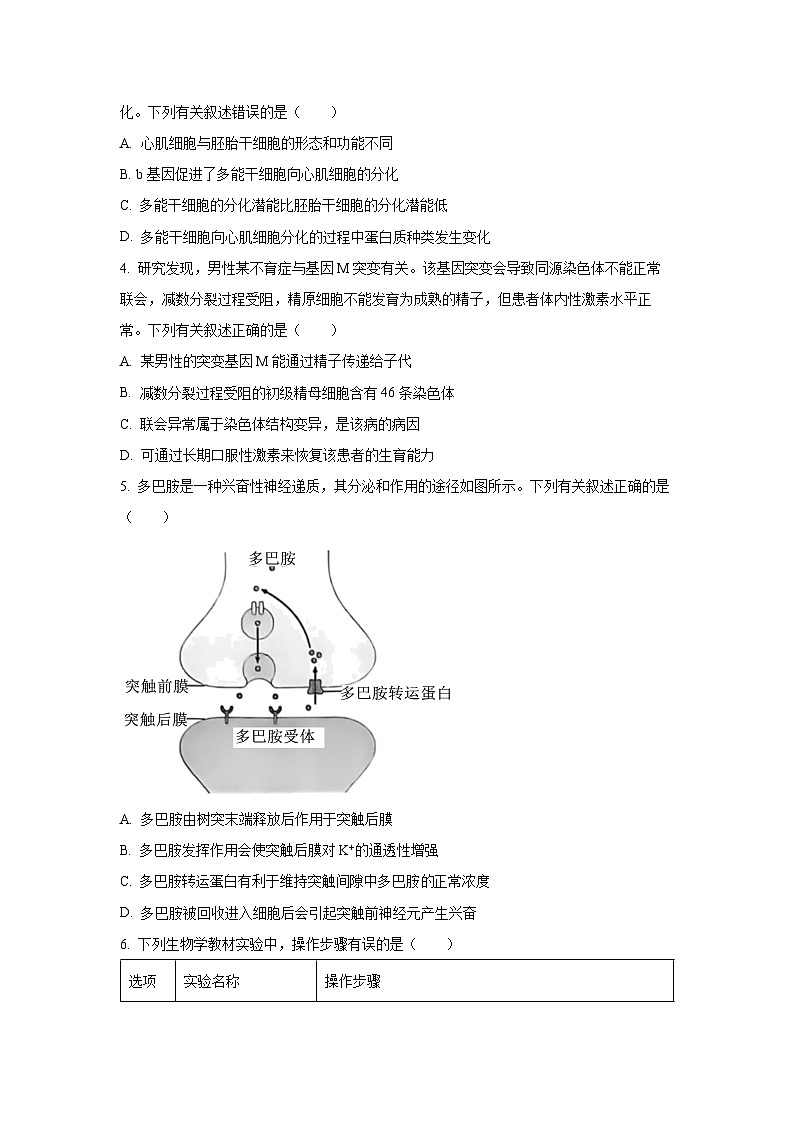 山西省运城市2026年下学期高考考前模拟测试生物试卷（学生版）第2页