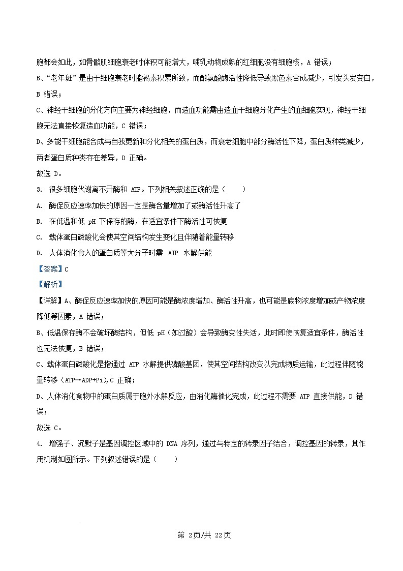 河北省保定市定州市2026届高三生物上学期11月期中试题含解析第2页