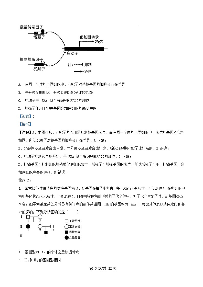 河北省保定市定州市2026届高三生物上学期11月期中试题含解析第3页