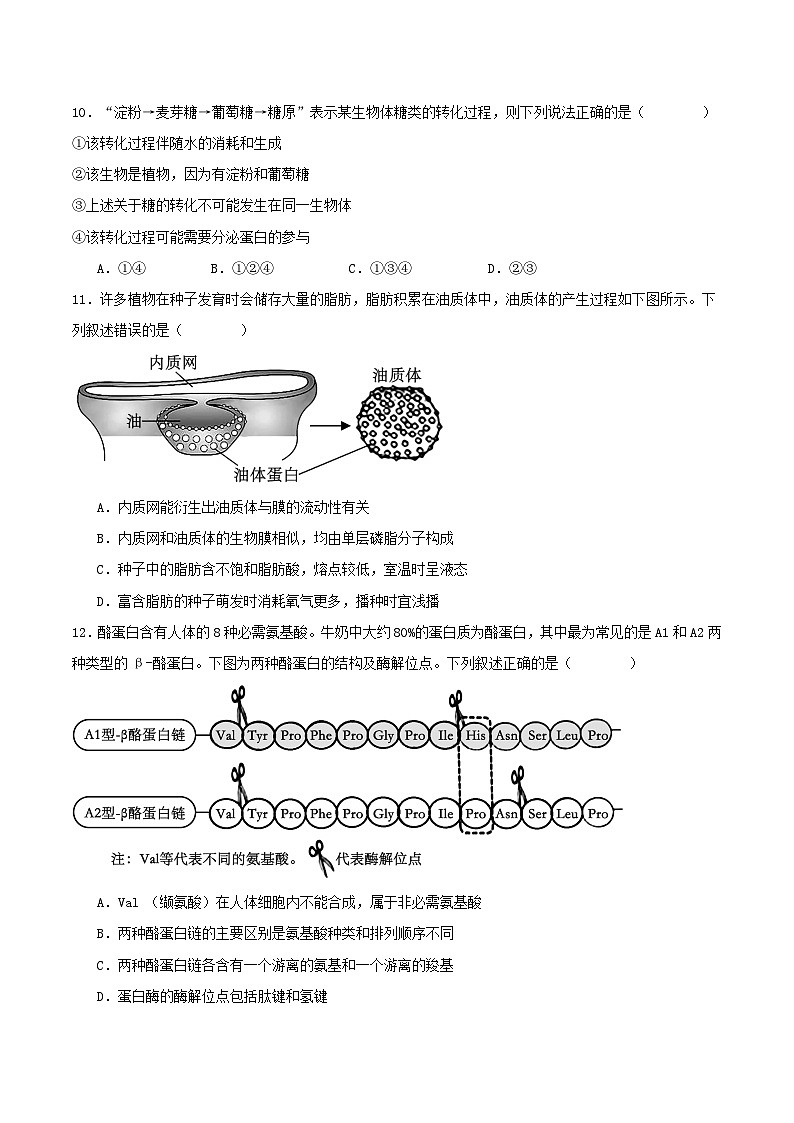 河北省石家庄市2025_2026学年高一生物上学期期中测试第3页