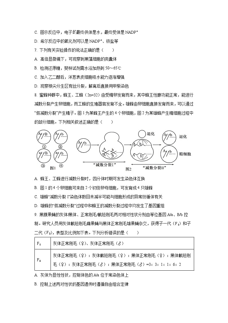 2025-2026学年云南大理州鹤庆县高三年级上学期期末考试生物试卷（学生版）第3页