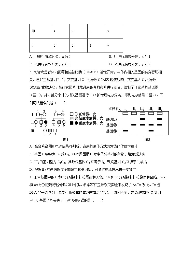 2026届山东临沂市高三普通高中学业水平考试模拟生物试卷（学生版）第3页
