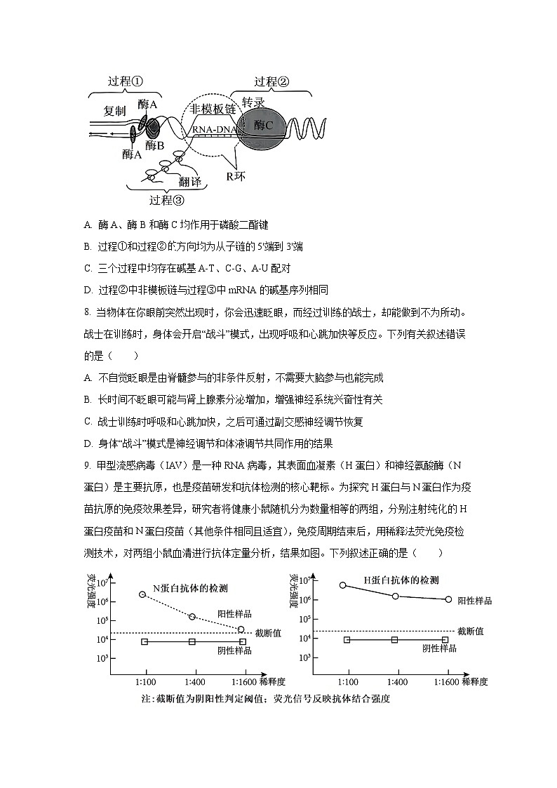 2026届山西省大同市高三年级下第一次模拟考试生物试卷（学生版）第3页