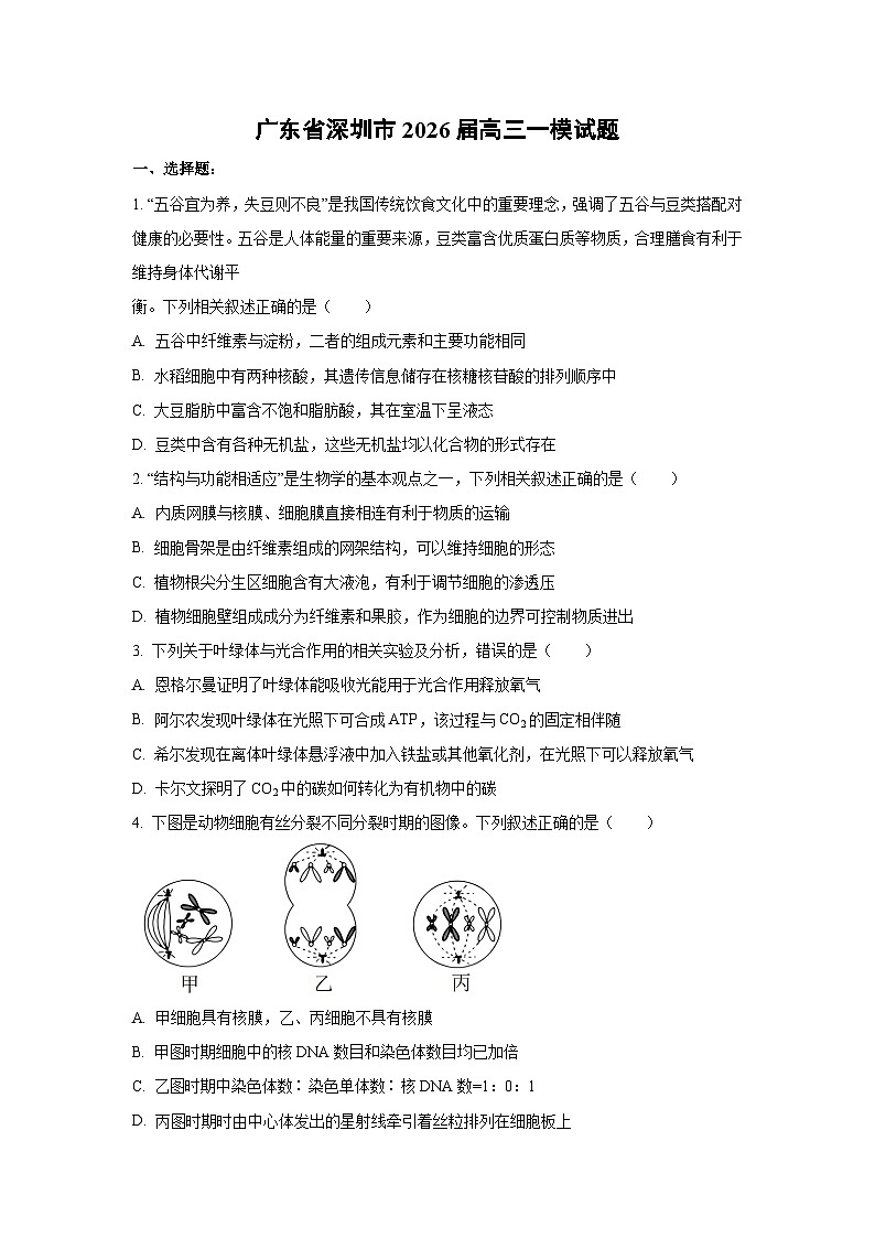 2026届广东省深圳市高三下一模生物试卷（学生版）第1页