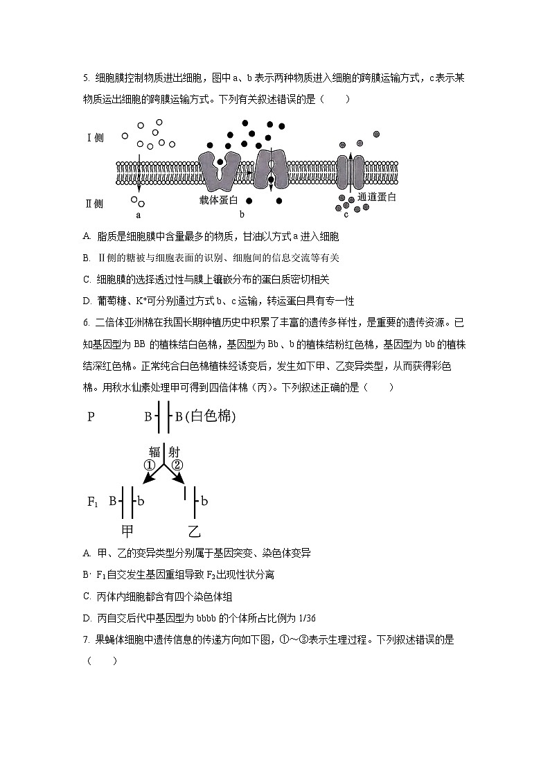 2026届广东省深圳市高三下一模生物试卷（学生版）第2页