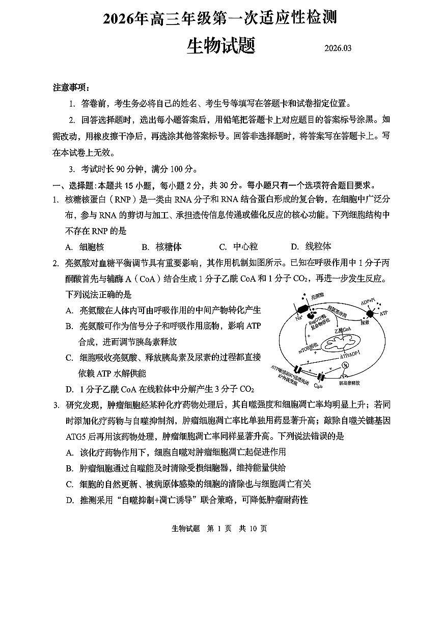 青岛市2026年高三年级第一次适应性检测 生物第1页