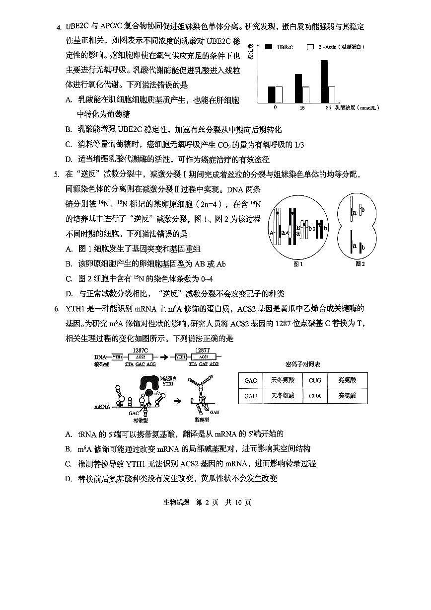 青岛市2026年高三年级第一次适应性检测 生物第2页