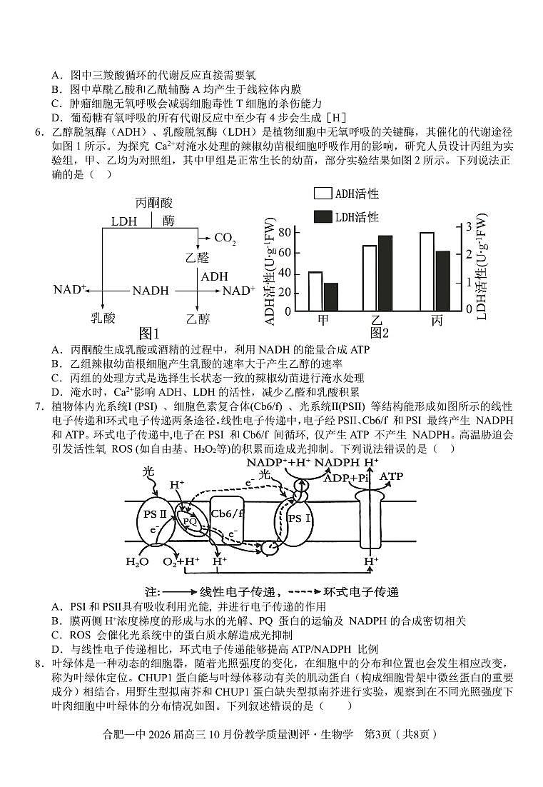 安徽省合肥一中2026届高三10月份教学质量测评生物试卷（含答案）第3页