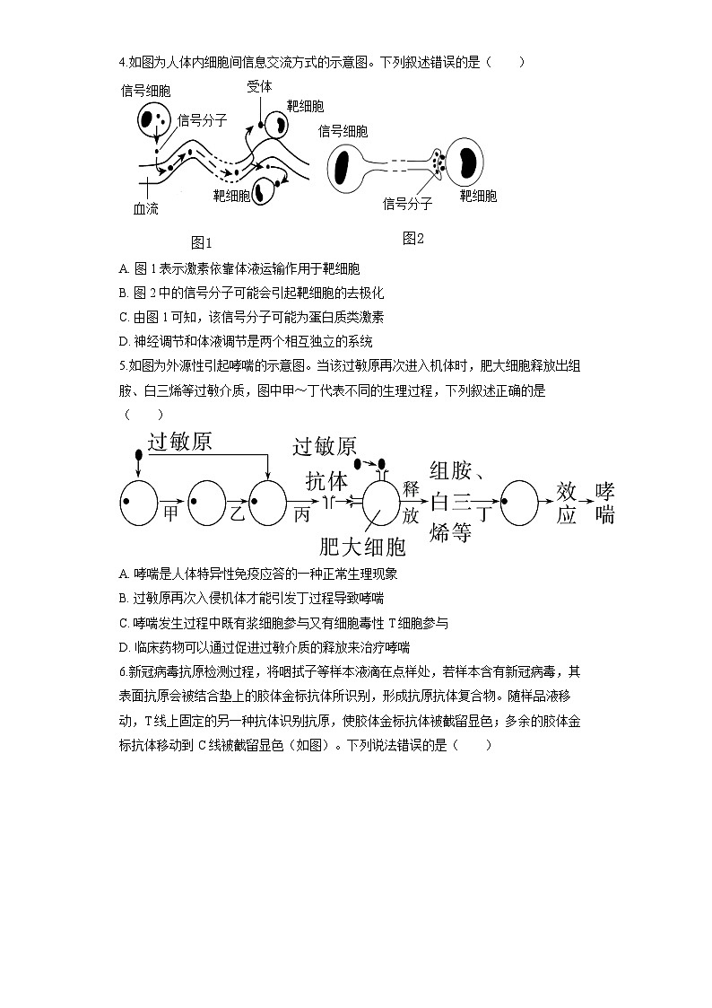 湖南省长沙大学附属中学2025-2026学年高三上学期10月月考生物试题（含答案）第2页