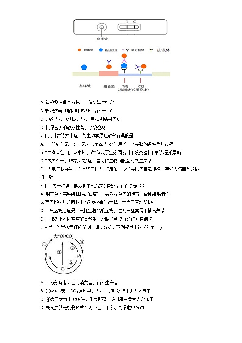 湖南省长沙大学附属中学2025-2026学年高三上学期10月月考生物试题（含答案）第3页