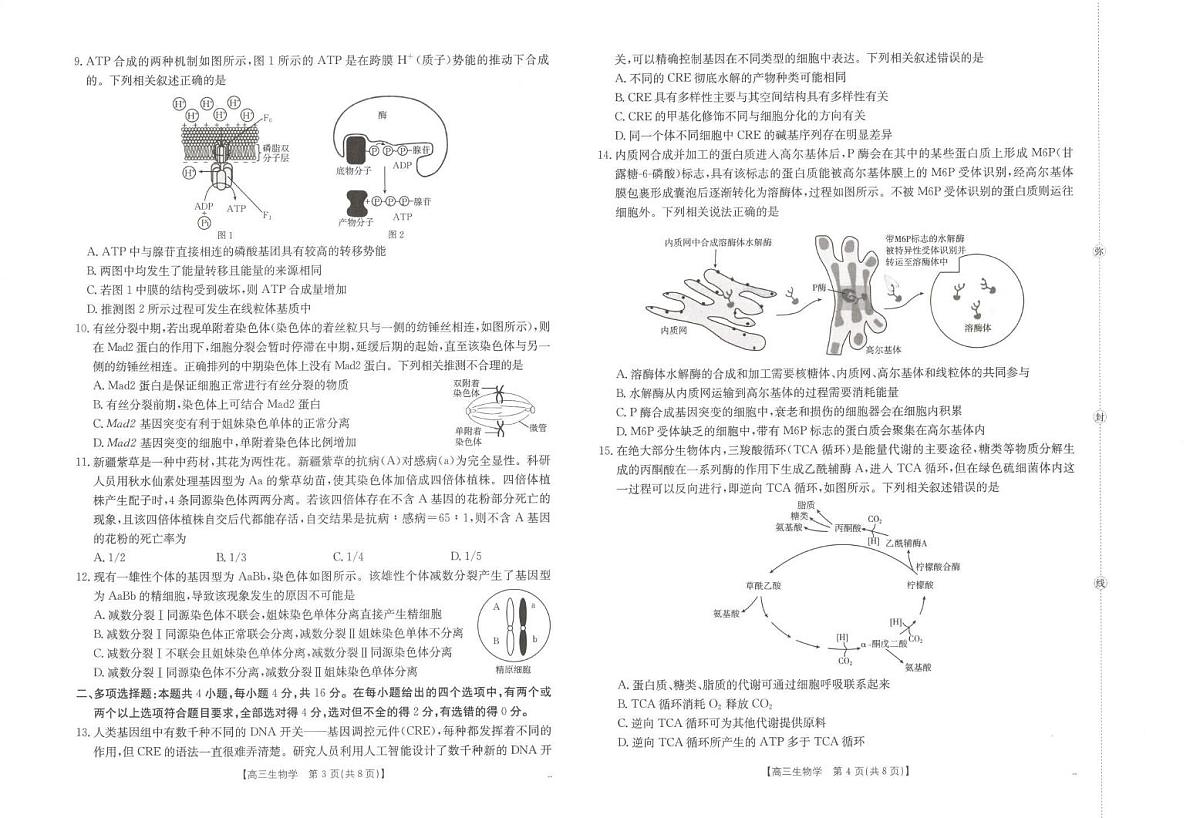 江西省2026届高三上学期10月联考 生物试卷（含答案）第2页