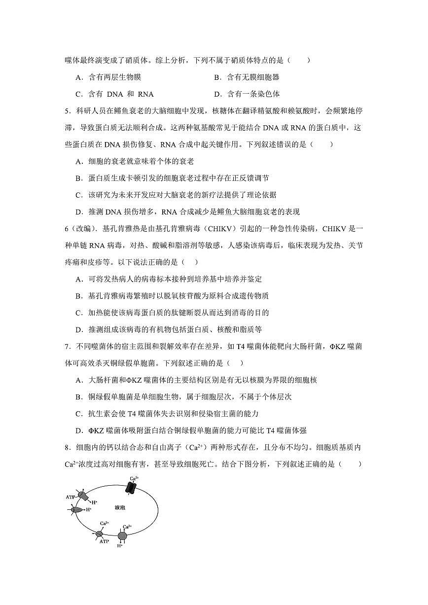 重庆市2025-2026学年高三上期五校十月联考 生物试卷（含答案）第2页
