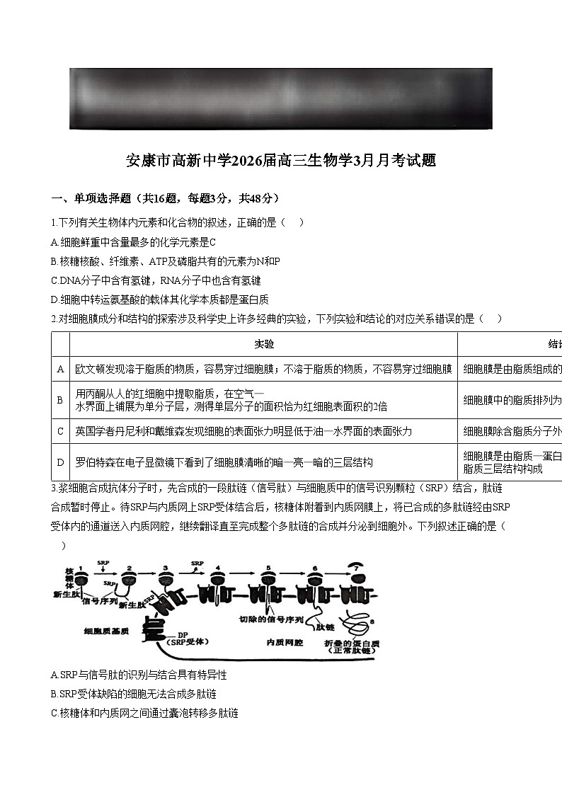 陕西省安康市高新中学2025_2026学年高三下学期3月月考生物试题（文字版，含答案）第1页