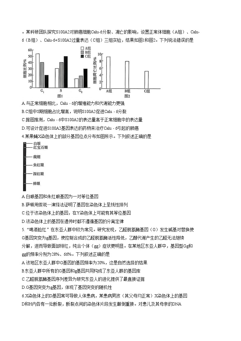 2026届湖南省长沙市雨花区长沙市雅礼中学高三模拟预测生物试题（文字版，含答案）第2页