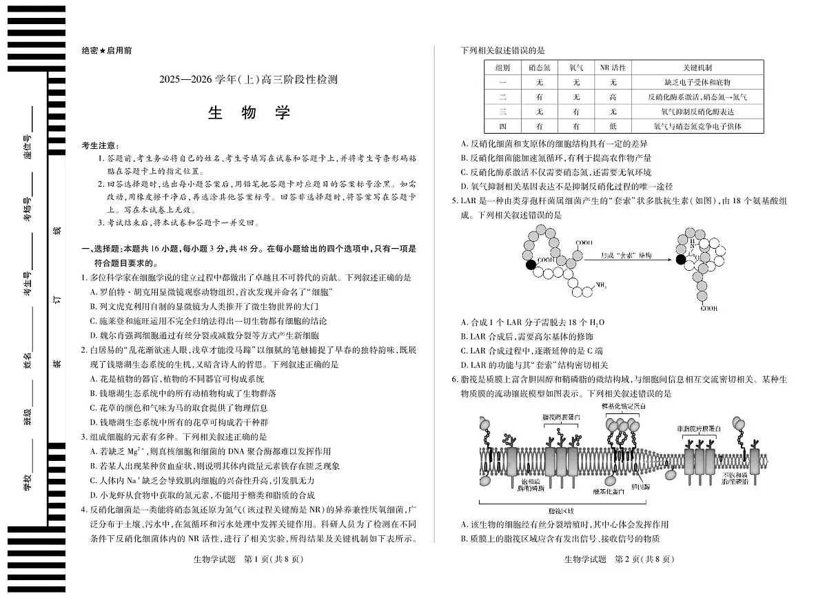 河南省2025—2026学年（上）高三阶段性检测生物试卷（含答案）第1页