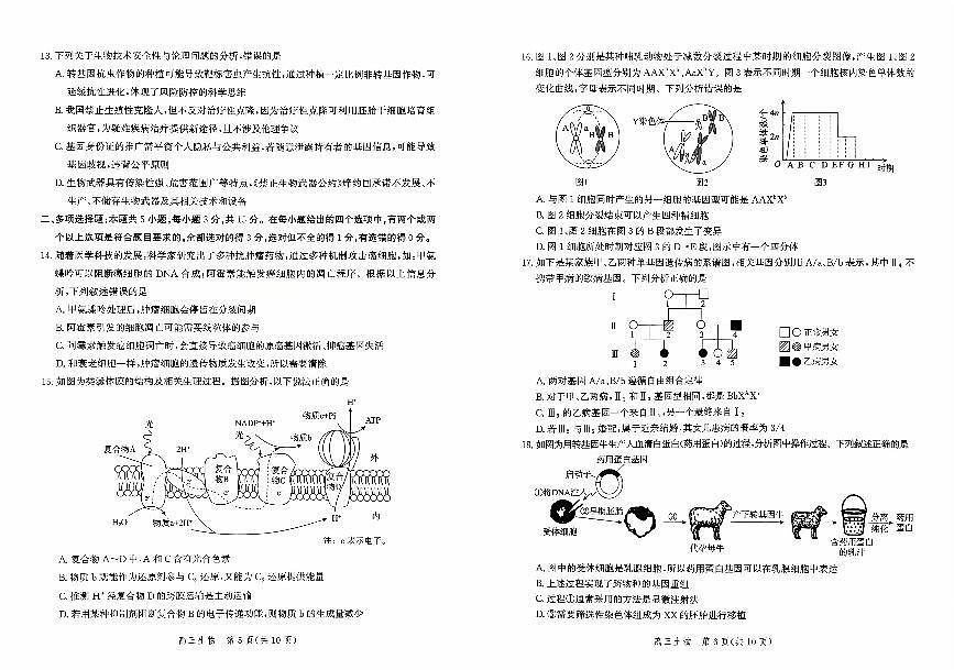 河北省2026届高三年级阶段性联合测评生物试卷（含答案）第3页