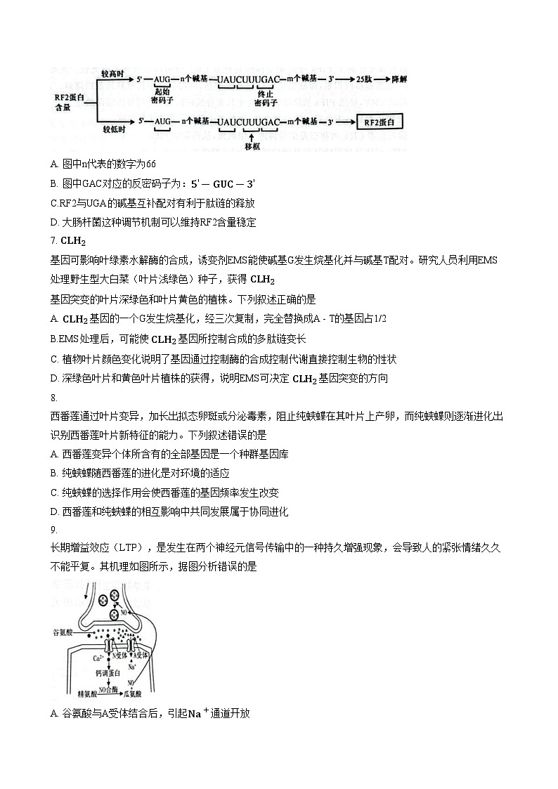 山东省潍坊市2025_2026学年高三年级下学期3月学习质量综合评估生物试题（文字版，含答案）第3页