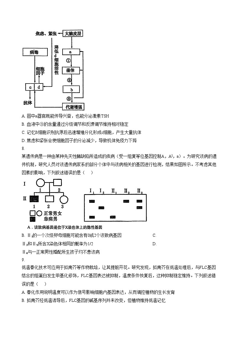 2026届内蒙古自治区乌海市海勃湾区乌海市第一中学高三下学期适应性考试生物试题（文字版，含答案）第3页