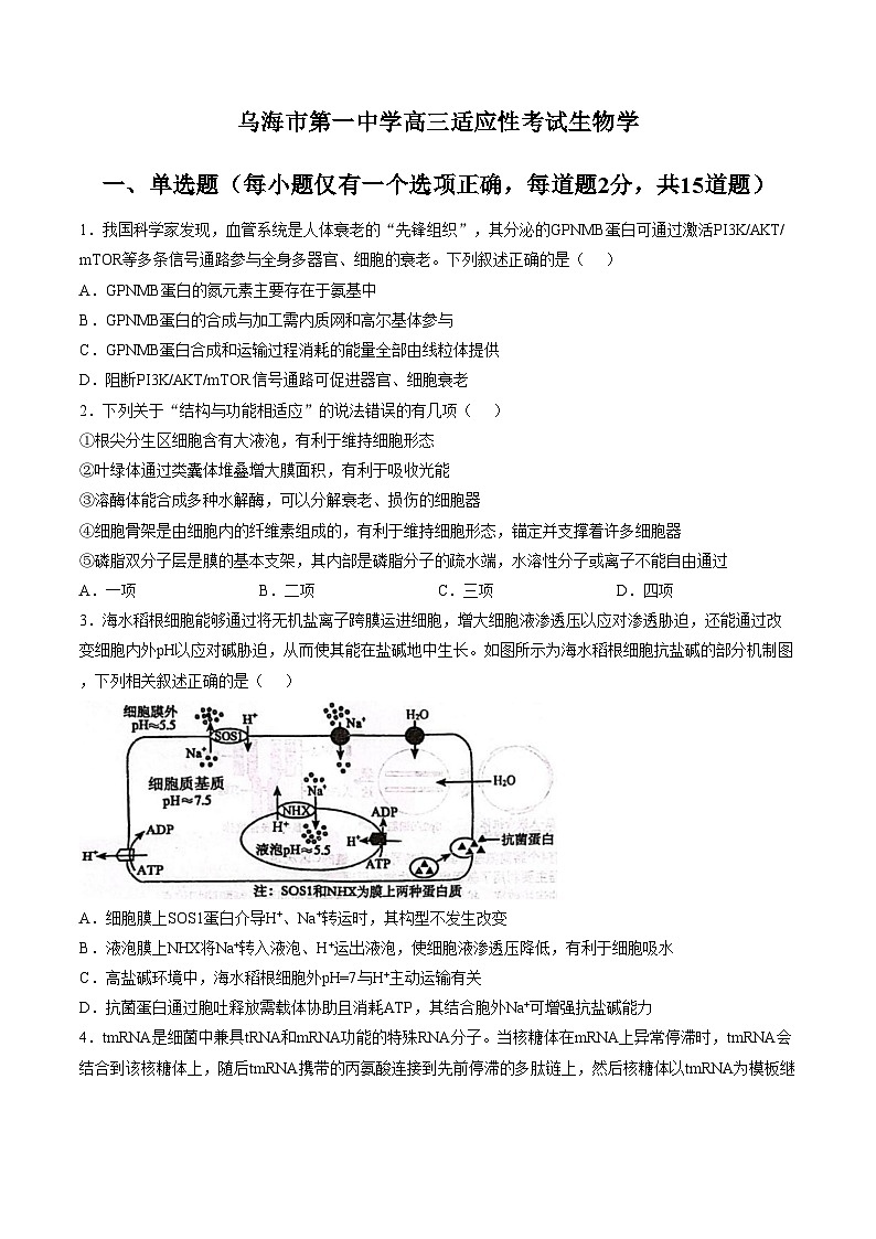 2026届内蒙古自治区乌海市海勃湾区乌海市第一中学高三下学期适应性考试生物试题(文字版含答案)第1页