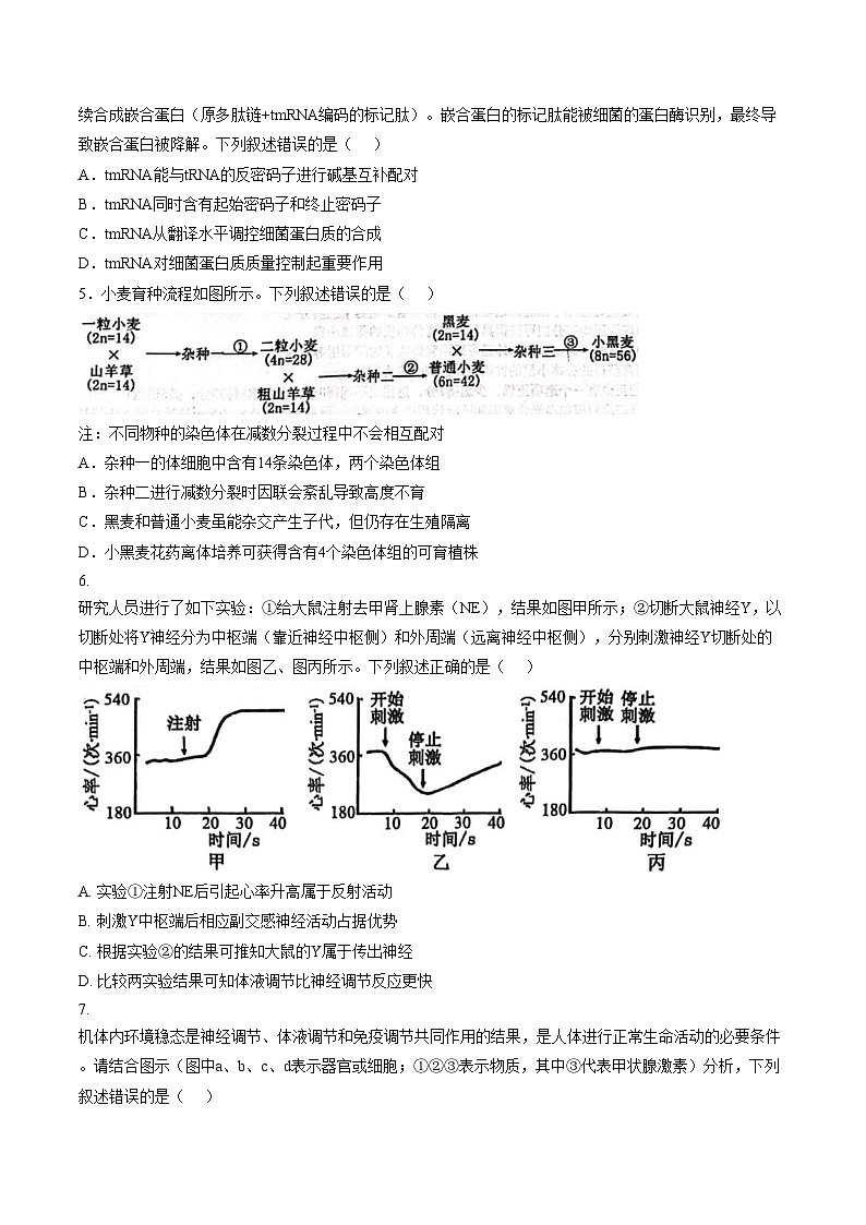 2026届内蒙古自治区乌海市海勃湾区乌海市第一中学高三下学期适应性考试生物试题(文字版含答案)第2页