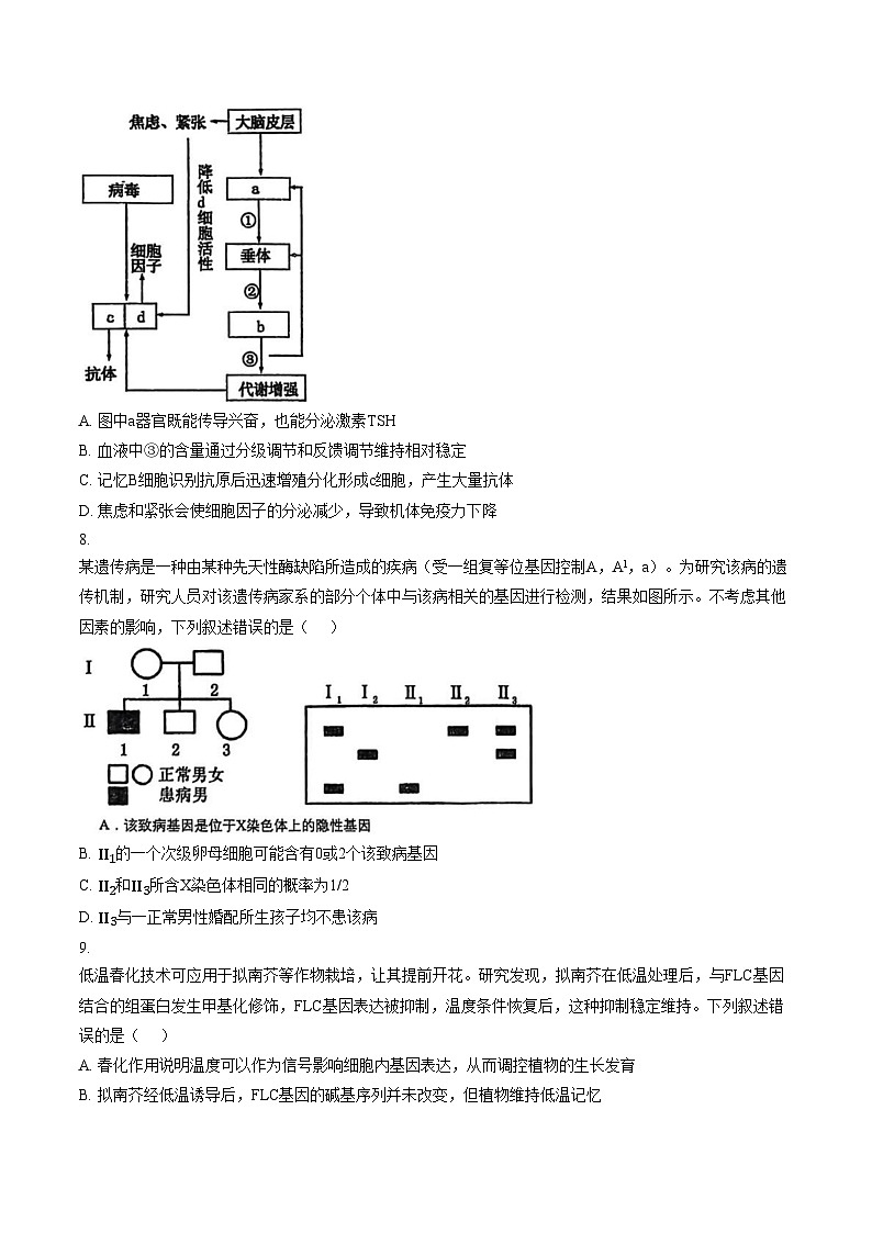 2026届内蒙古自治区乌海市海勃湾区乌海市第一中学高三下学期适应性考试生物试题(文字版含答案)第3页