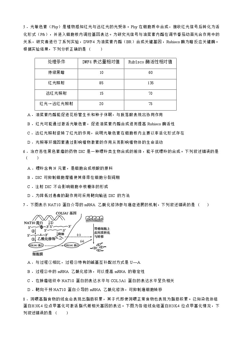 成都石室中学2025-2026学年下学期高三高考二模生物学试卷含答案第3页