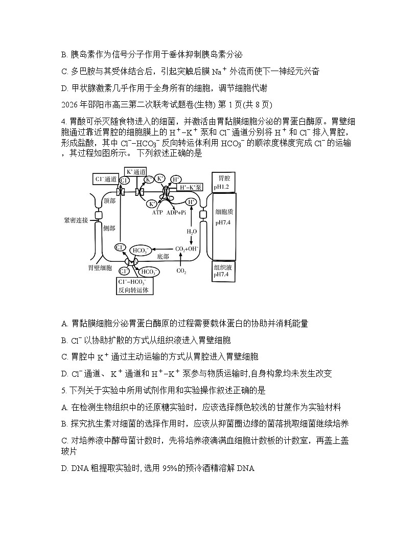 湖南省邵阳市2025-2026学年下学期高三高考二模生物学试卷含答案第2页