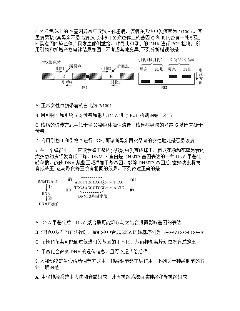 湖南省邵阳市2025-2026学年下学期高三高考二模生物学试卷含答案第3页