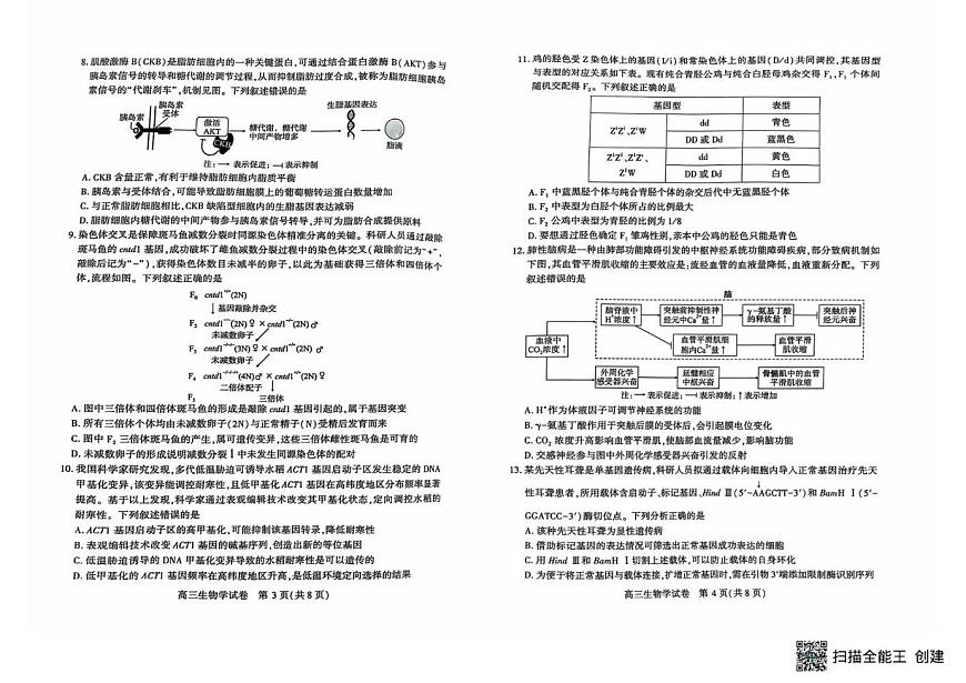 恩施州2026届高三第二次质量监测考试 生物第2页