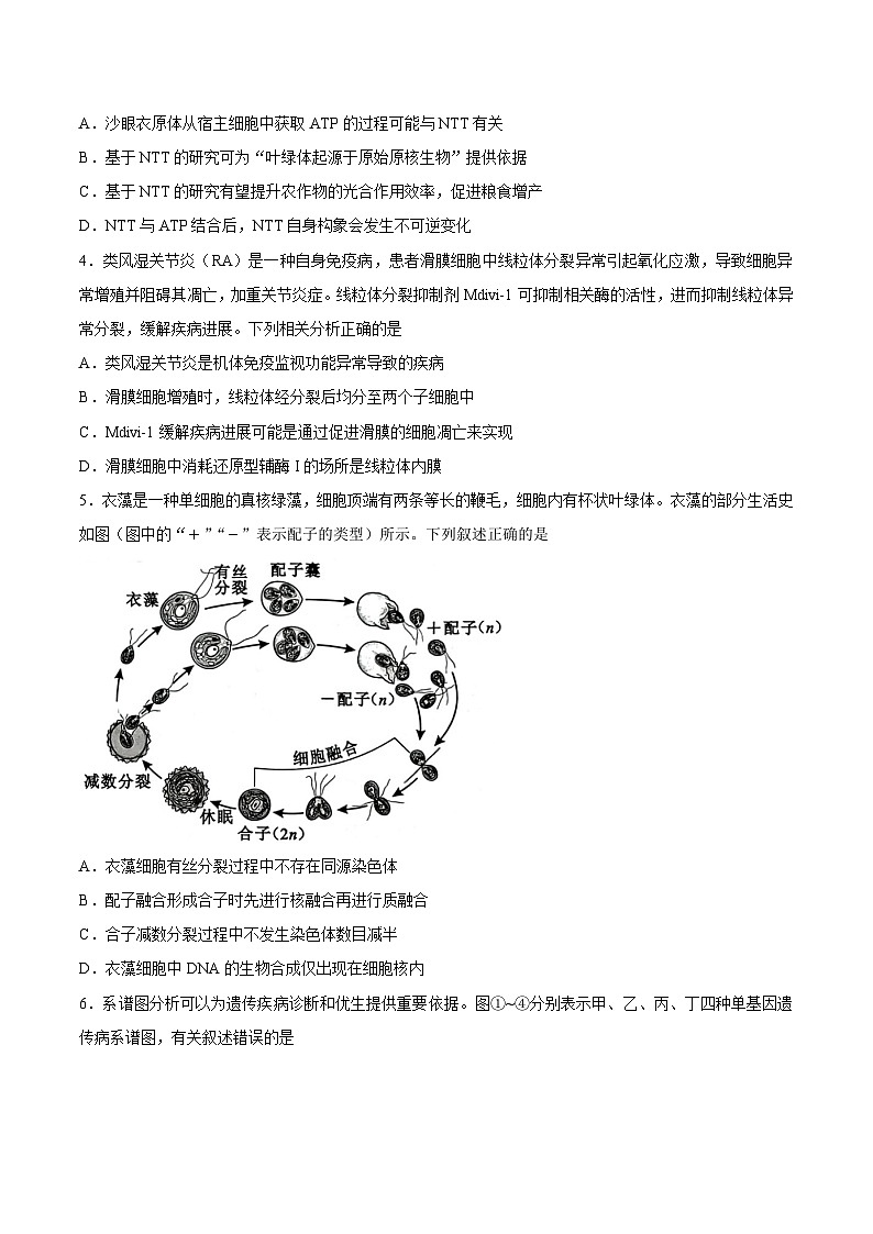 安徽省安庆市2026届下学期高三二模 生物试题+答案解析第2页