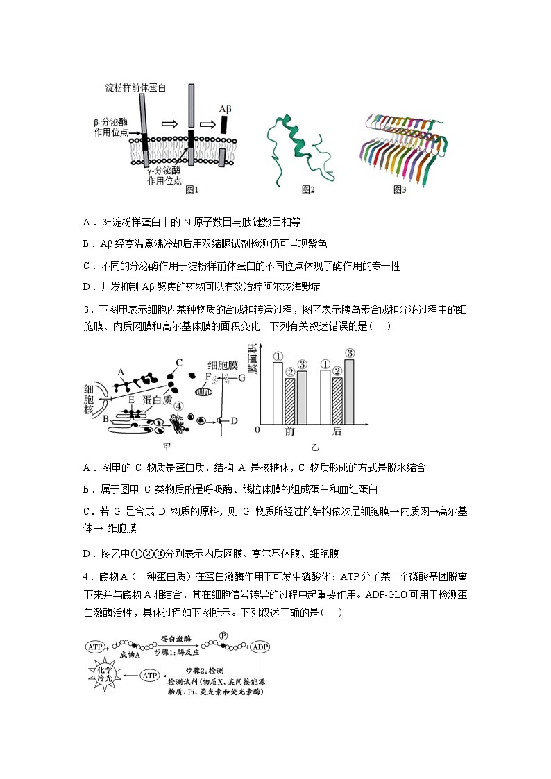 2025-2026学年下学期湖北省随州市六校高三一模生物试题含答案第2页