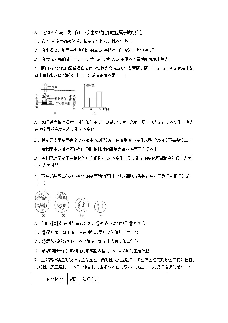 2025-2026学年下学期湖北省随州市六校高三一模生物试题含答案第3页