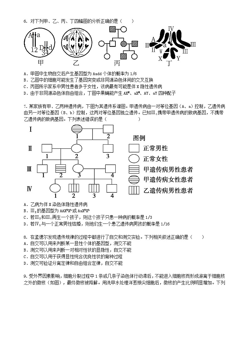 广东省深圳市高一下学期3月月考生物（模拟卷）-A4第2页