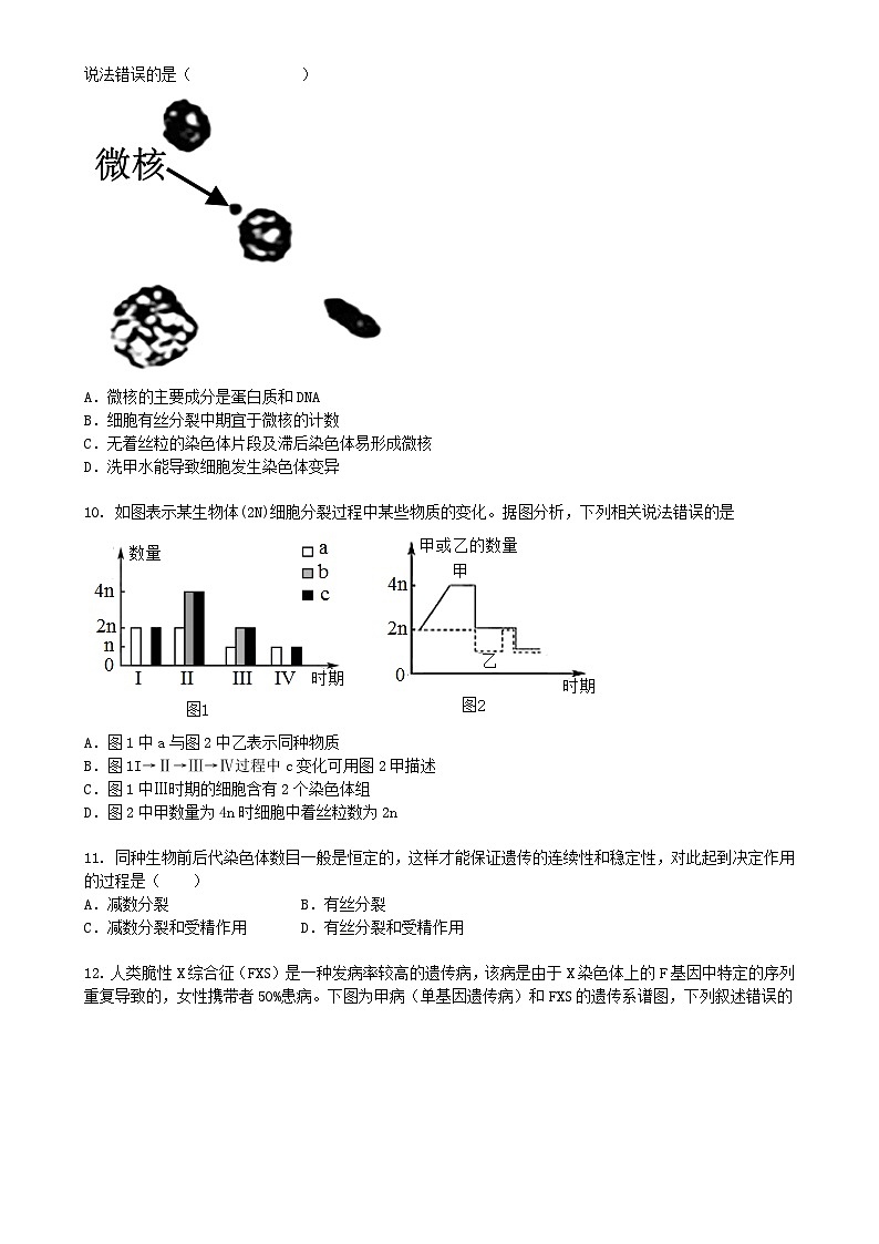 广东省深圳市高一下学期3月月考生物（模拟卷）-A4第3页