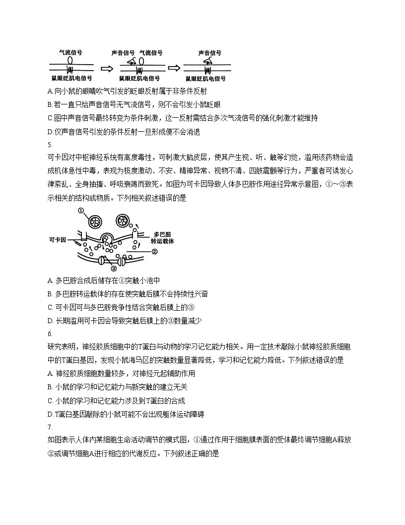 辽宁省锦州省重点2025_2026学年高二上学期期中生物试卷（扫描版，含答案）第2页