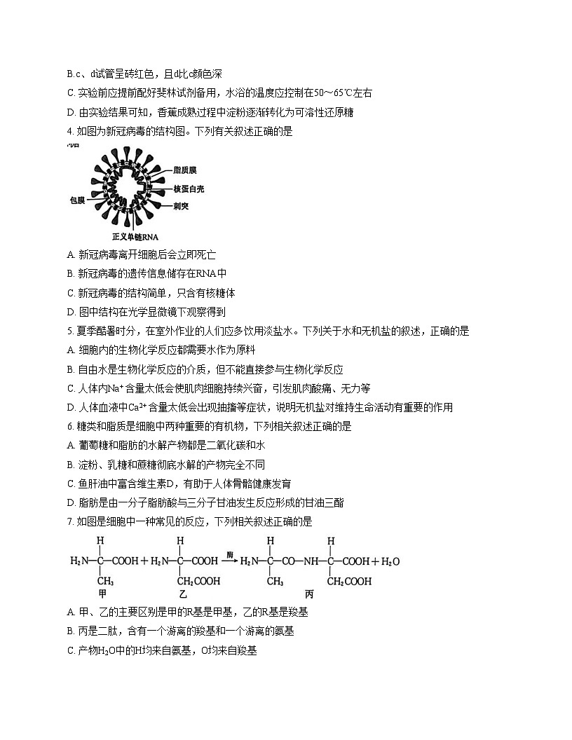 辽宁省锦州省重点2025_2026学年高一上学期期中生物试卷（扫描版，含答案）第2页