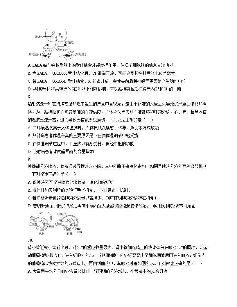 江西省南昌中学2025_2026学年高二上学期期中考试生物试题（扫描版，含答案）第3页