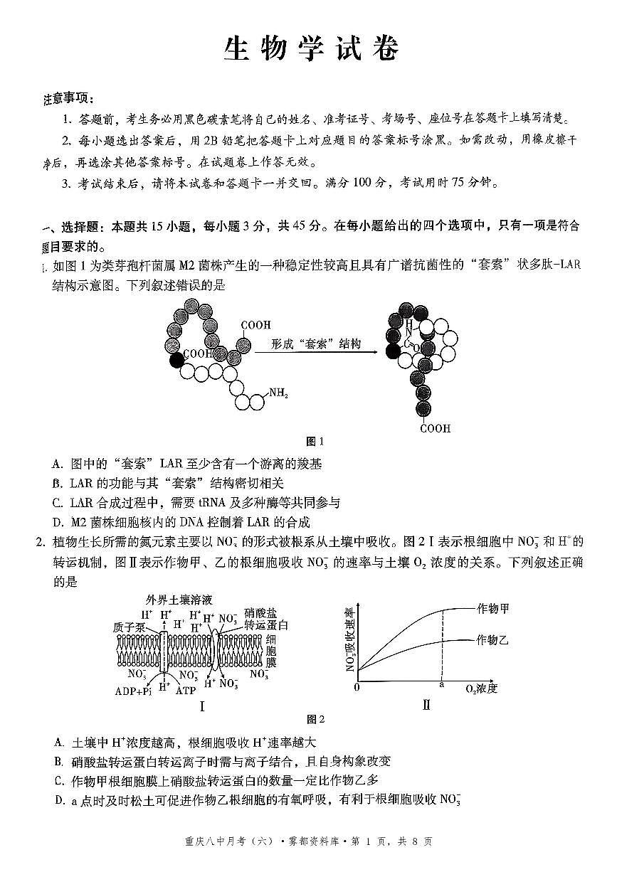 2025-2026学年下学期重庆八中高三月考六生物学试卷含答案第1页