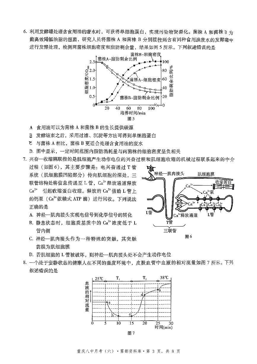 2025-2026学年下学期重庆八中高三月考六生物学试卷含答案第3页