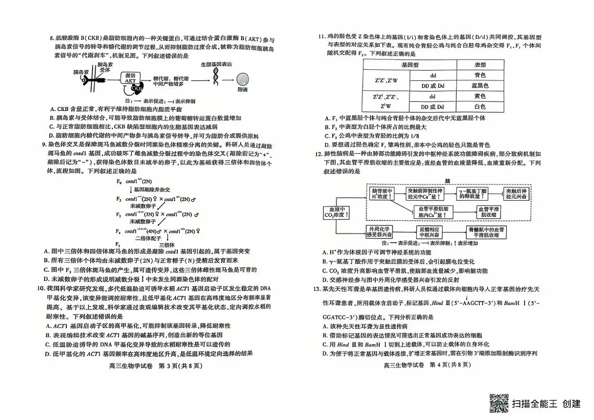 2025-2026学年下学期湖北恩施高三高考二模生物试卷含答案第2页