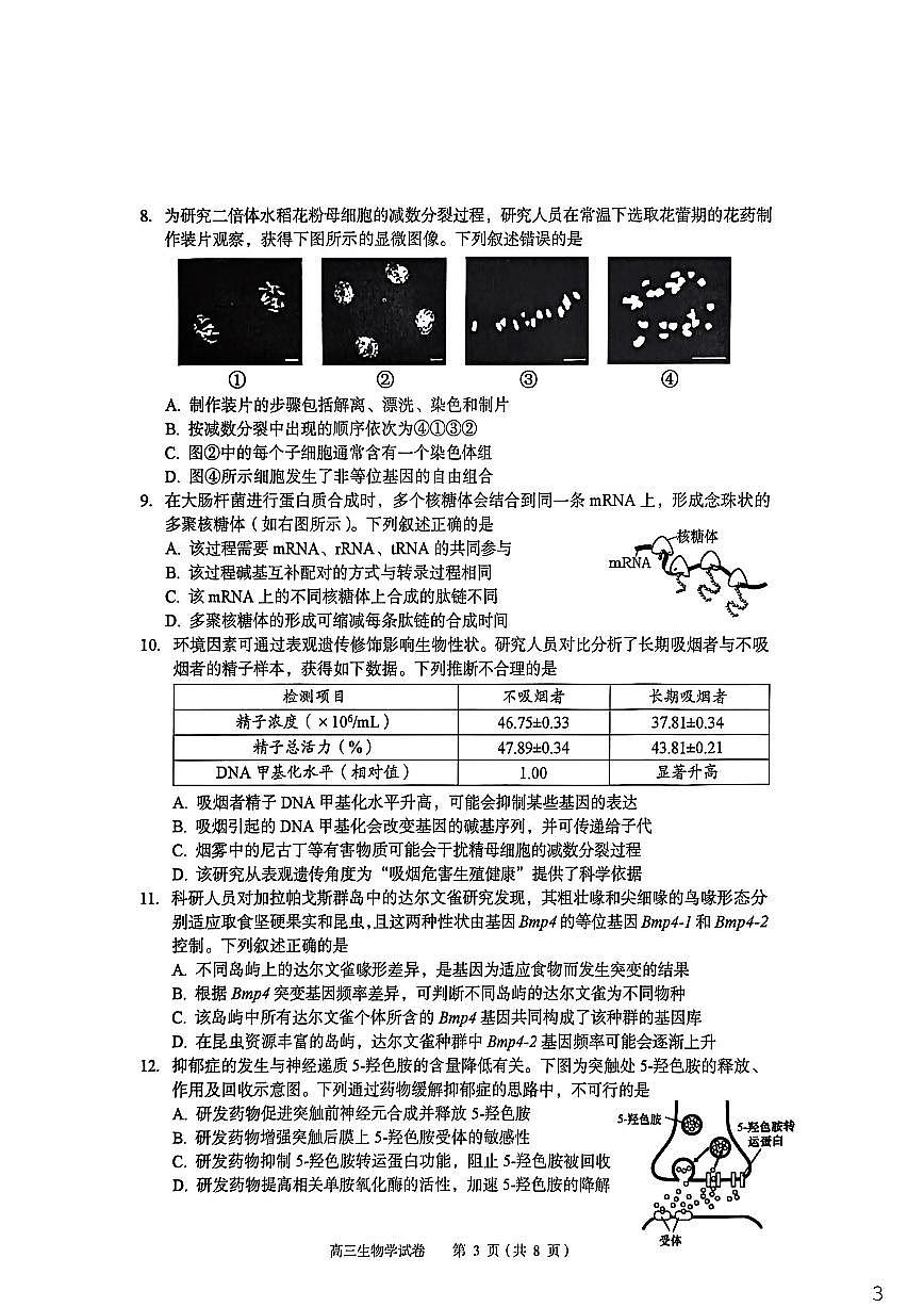 生物-湖北省八市州2026年全市高三年级3月模拟考试(黄石一模)试卷及答案第3页